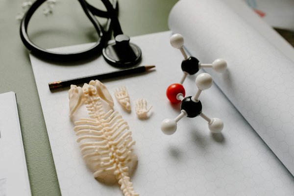 10 exercices de gymnastique douce pour les seniors